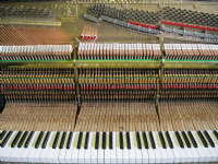 Malcolm Walker Pianos Photo