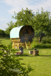 Gypsy Caravan Breaks Photo