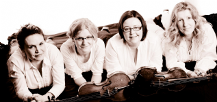 Andrelli String Quartet and String Duo Photo