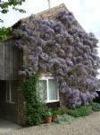 Lane End Barn Photo
