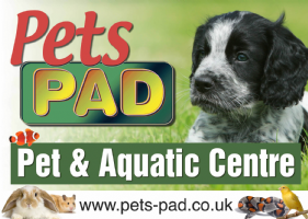 Pets Pad Photo