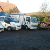 Tudor Rose Tree Care Photo