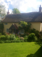 Maltby Plastering Photo