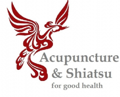 Acupuncture and Shiatsu with Sarah Kibble Photo