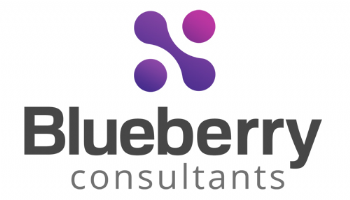 Blueberry Consultants Photo