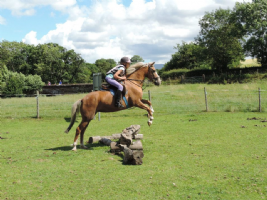 bank house equestrian Photo