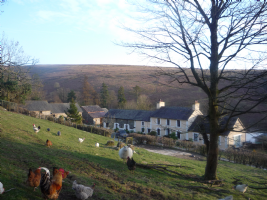 Cwmiar Farm Holiday Cottages Photo