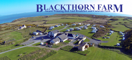 Blackthorn Farm Photo