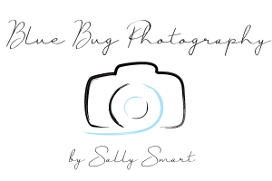 Blue Bug Photography Photo