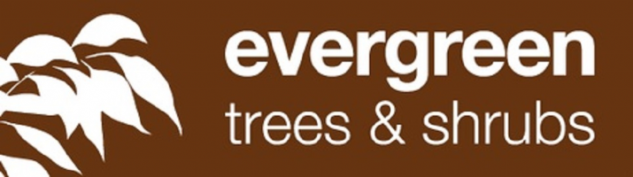 Evergreen Trees & Shrubs Ltd Photo