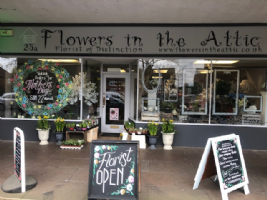 Flowers In The Attic Photo