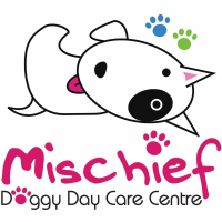 Mischief Doggy Day Care Centre Photo