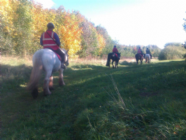 Derbyshire Pony Trekking Photo