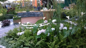 GreenArt Photo