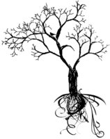 Silhouette Tree Care Photo