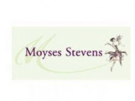 Moyses Flowers Photo