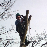 Maindee Tree and Garden Services Photo