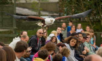 Eagle Heights Wildlife Foundation Photo