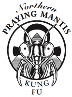 Northern Praying Mantis Kung Fu Photo