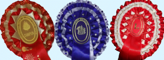 A J Rosettes Photo