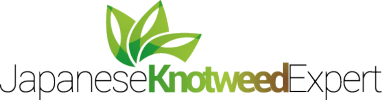Japanese Knotweed Expert Ltd Photo