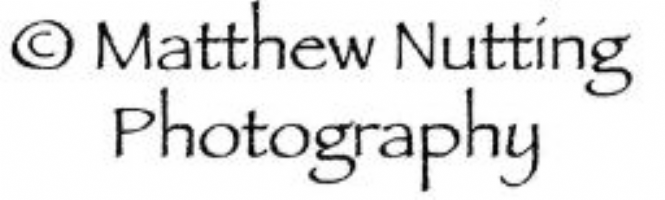 Matthew Nutting Photography Photo