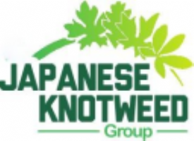 Japanese Knotweed Group Photo