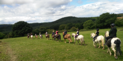 Lee Valley Equestrian Centre Photo