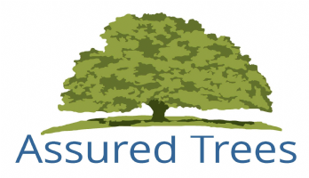 Assured Trees Ltd Photo