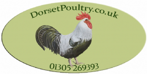 Dorset Poultry Photo