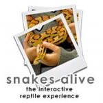 snakes alive limited Photo
