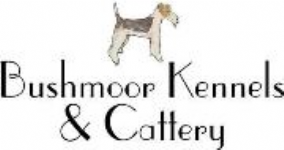 Bushmoor Kennels and Cattery Photo