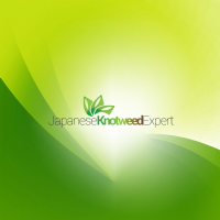 Japanese Knotweed Expert Ltd Photo