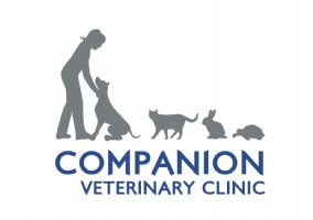 Companion Veterinary Clinic Photo