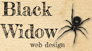Black Widow Web Design Ltd Photo