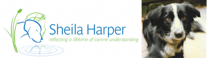 Sheila Harper Photo