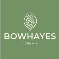 Bowhayes Trees Photo