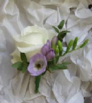 Lady Flora Photo