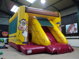 Abbots Bouncy Castle Hire Photo