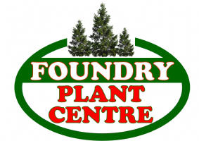 Foundry Plant Centre Photo