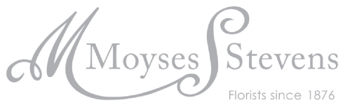 Moyses Stevens Flowers Photo