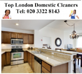 Top London Domestic Cleaners Photo