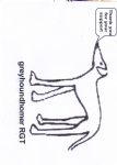 greyhoundhomerRGT Photo