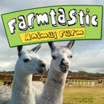 Farmtastic Animal Farm Photo