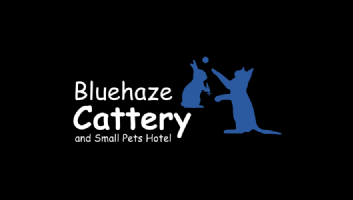 Bluehaze Cattery Photo