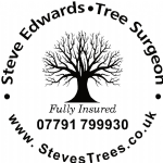 Steves Trees Photo
