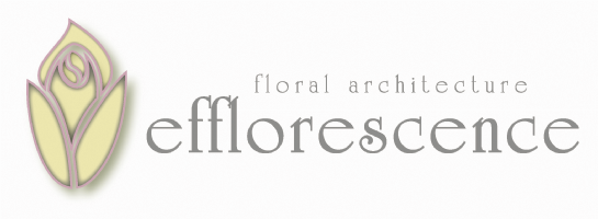 Efflorescence Florist Photo