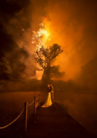 Stuart Lewis Photography Photo