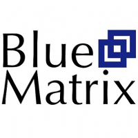 Blue Matrix - Chartered Certified Accountants Photo