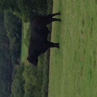 Beacon Hill Farm Photo